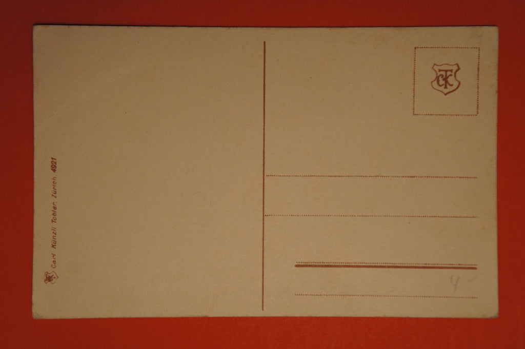 CH - Postkarte - Horgen mit Seesicht und Panorama